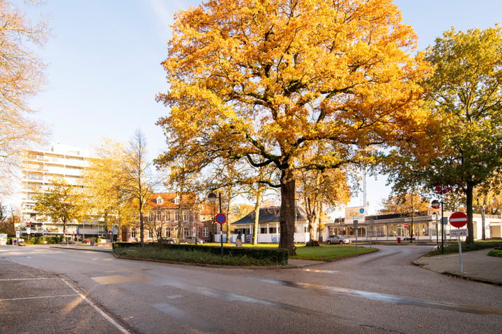 Bekijk foto 47 van Wilhelminastraat 55-C