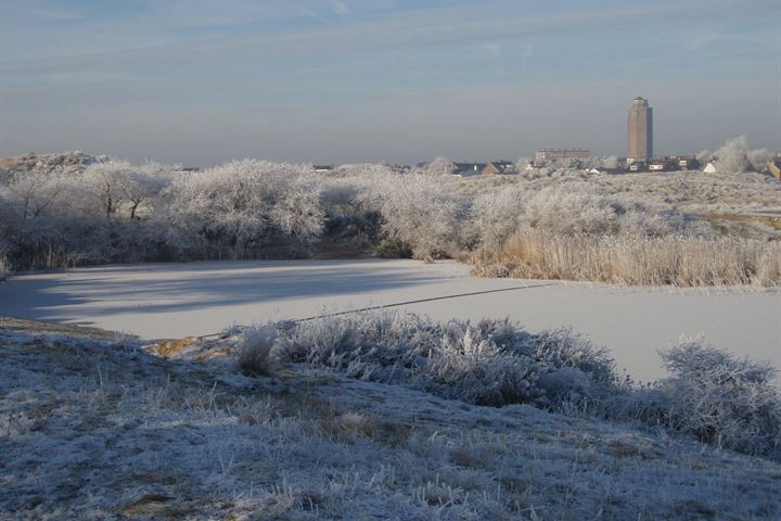 Bekijk foto 4 van Dr Kuyperstraat 11