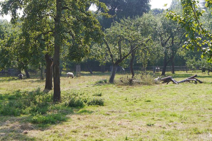 Bekijk foto 34 van Hondsrug 625