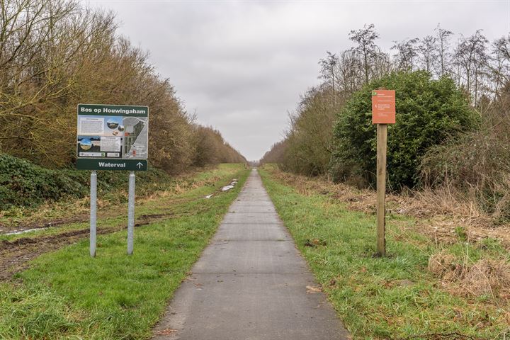 Bekijk foto 3 van Hamdijk 19