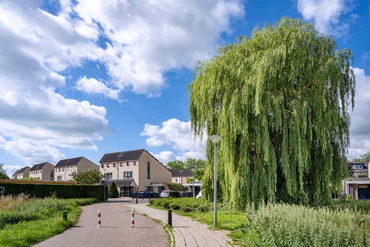 Bekijk foto 49 van Henriette Polaklaan 17