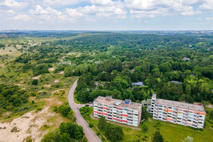 Bekijk foto 1 van Saxenrodeweg 54