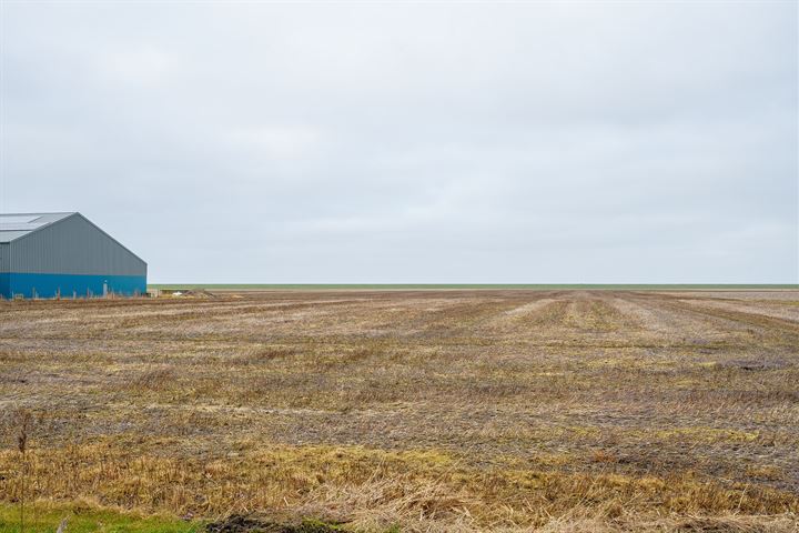 Bekijk foto 46 van Oudebildtdijk 1080