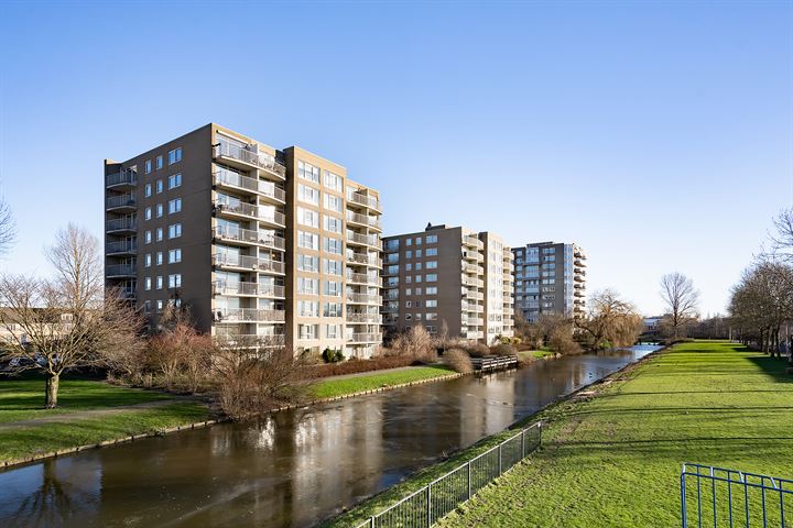 Bekijk foto 12 van Rosa Spierlaan 196