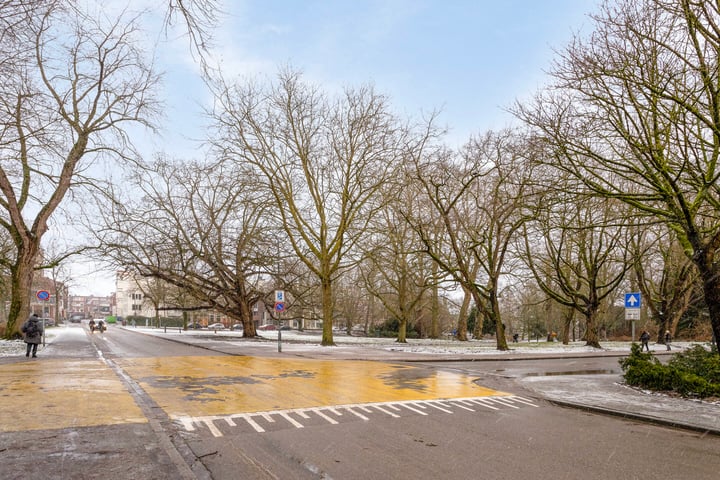 Bekijk foto 54 van Nieuwe Boteringestraat 46-46A