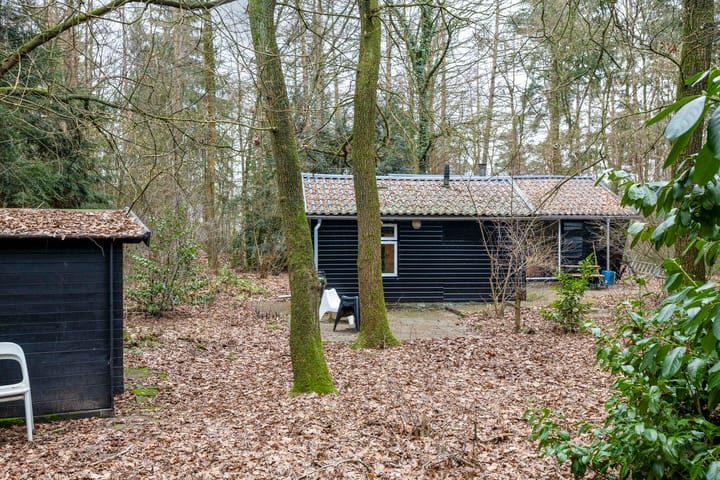 Foto 20 van Koelandweg 4