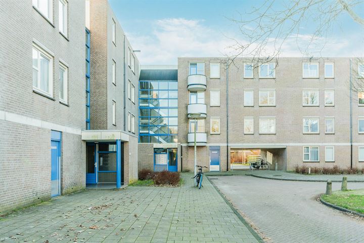 Bekijk foto 26 van Wamelstraat 64