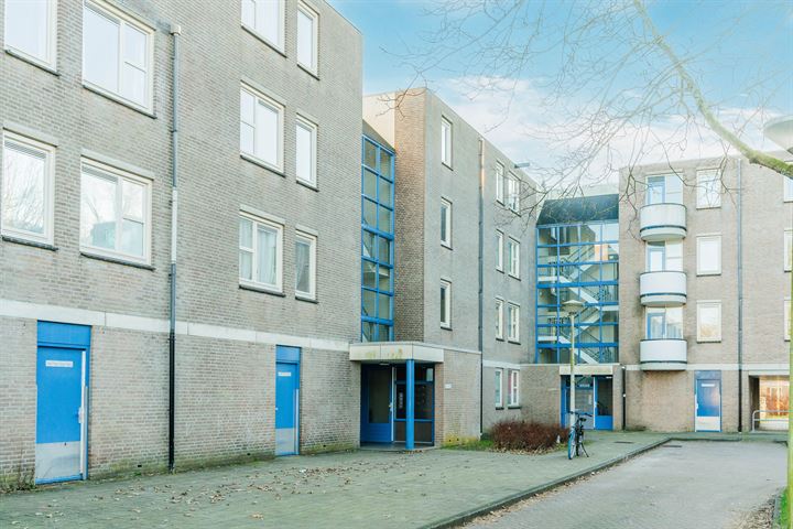 Bekijk foto 25 van Wamelstraat 64