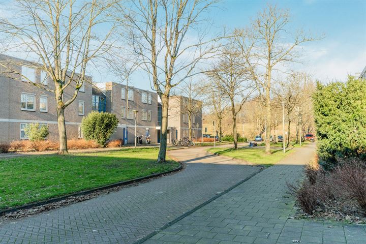 Bekijk foto 35 van Wamelstraat 64