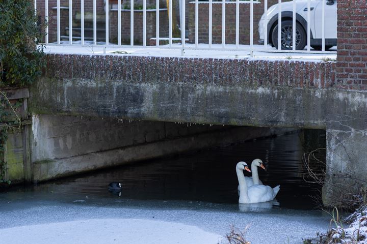 Bekijk foto 56 van Alyda van Spangensingel 35