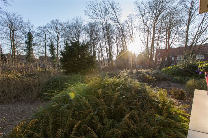 Bekijk foto 25 van Oude Graafseweg 25