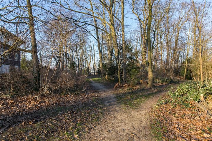 Bekijk foto 39 van Oude Graafseweg 25