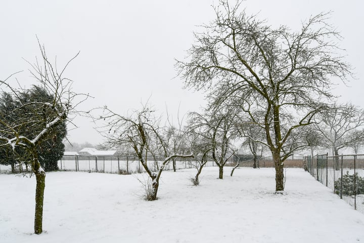 Bekijk foto 25 van Bergerothweg 73