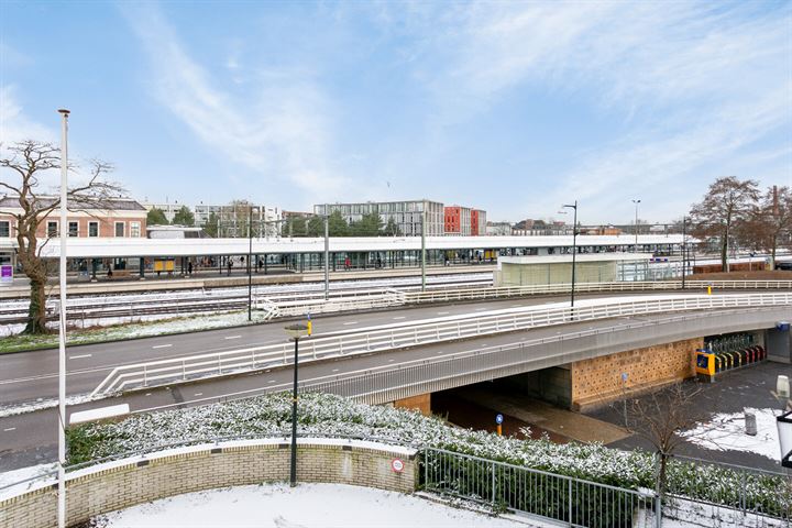 Bekijk foto 25 van Laan van de Mensenrechten 318