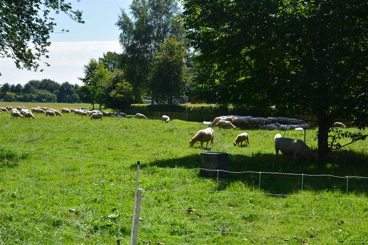 Bekijk foto 48 van Oostgriend 18