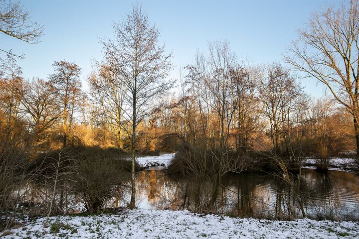 Bekijk foto 39 van Trekvogelweg 70-L