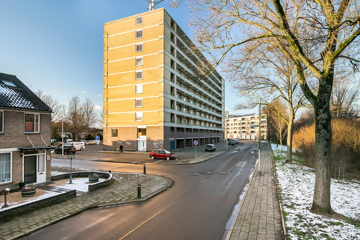 Bekijk foto 40 van Trekvogelweg 70-L