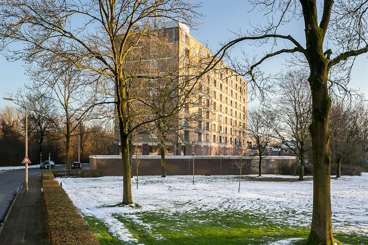 Bekijk foto 42 van Trekvogelweg 70-L