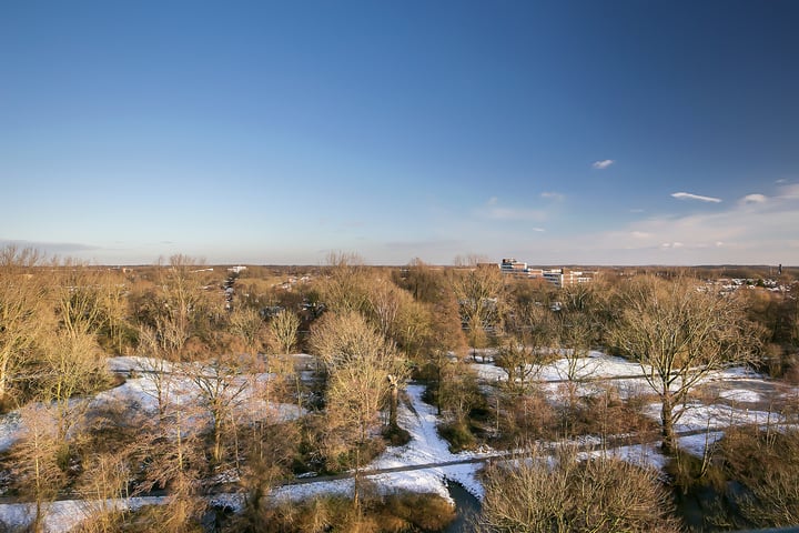 Bekijk foto 35 van Trekvogelweg 70-L