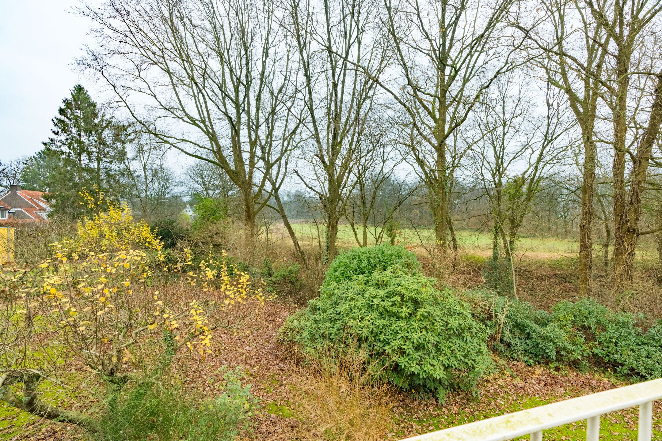 Foto 24 van Hesselink van Suchtelenweg 7