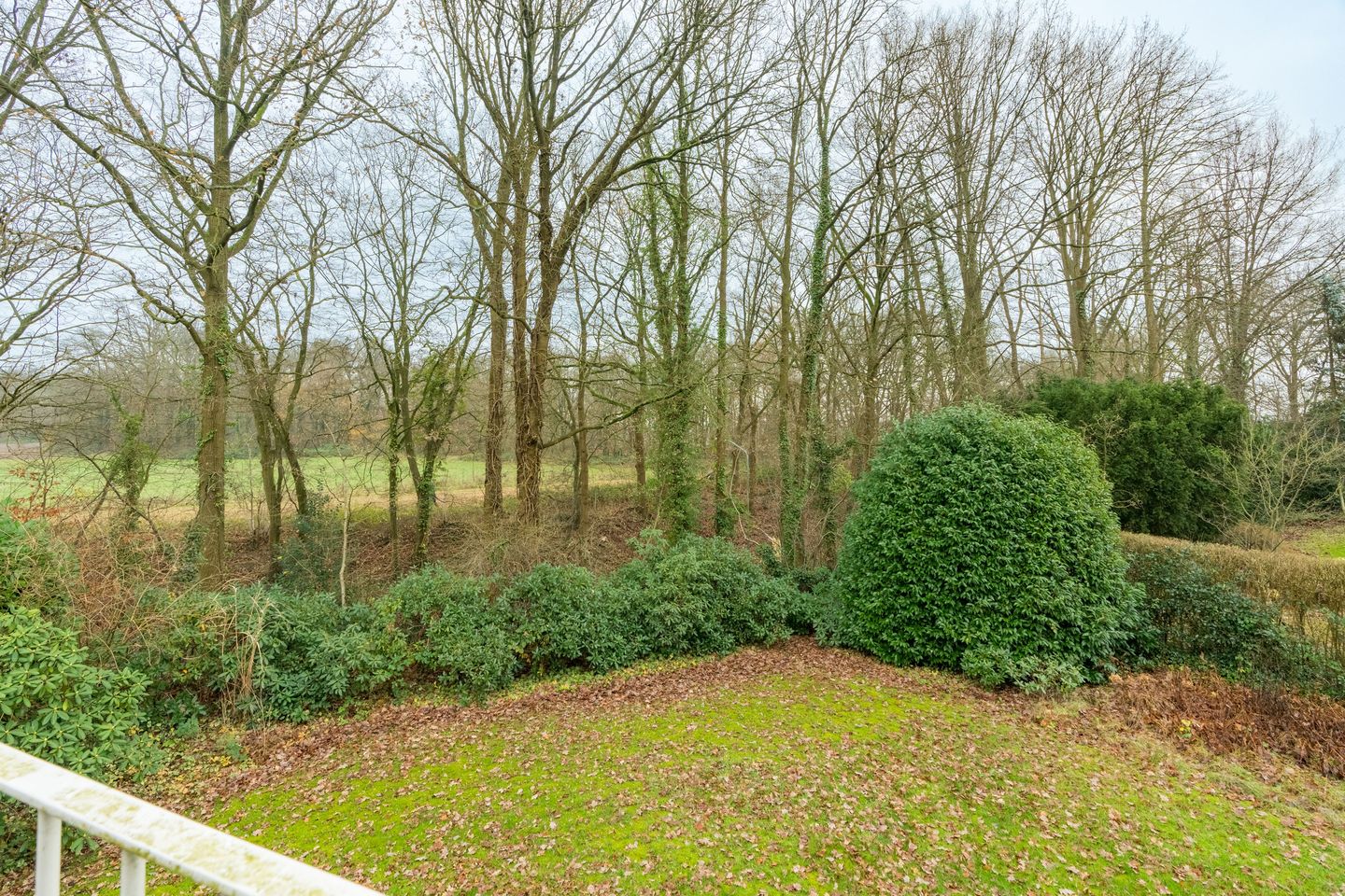 Foto 20 van Hesselink van Suchtelenweg 7