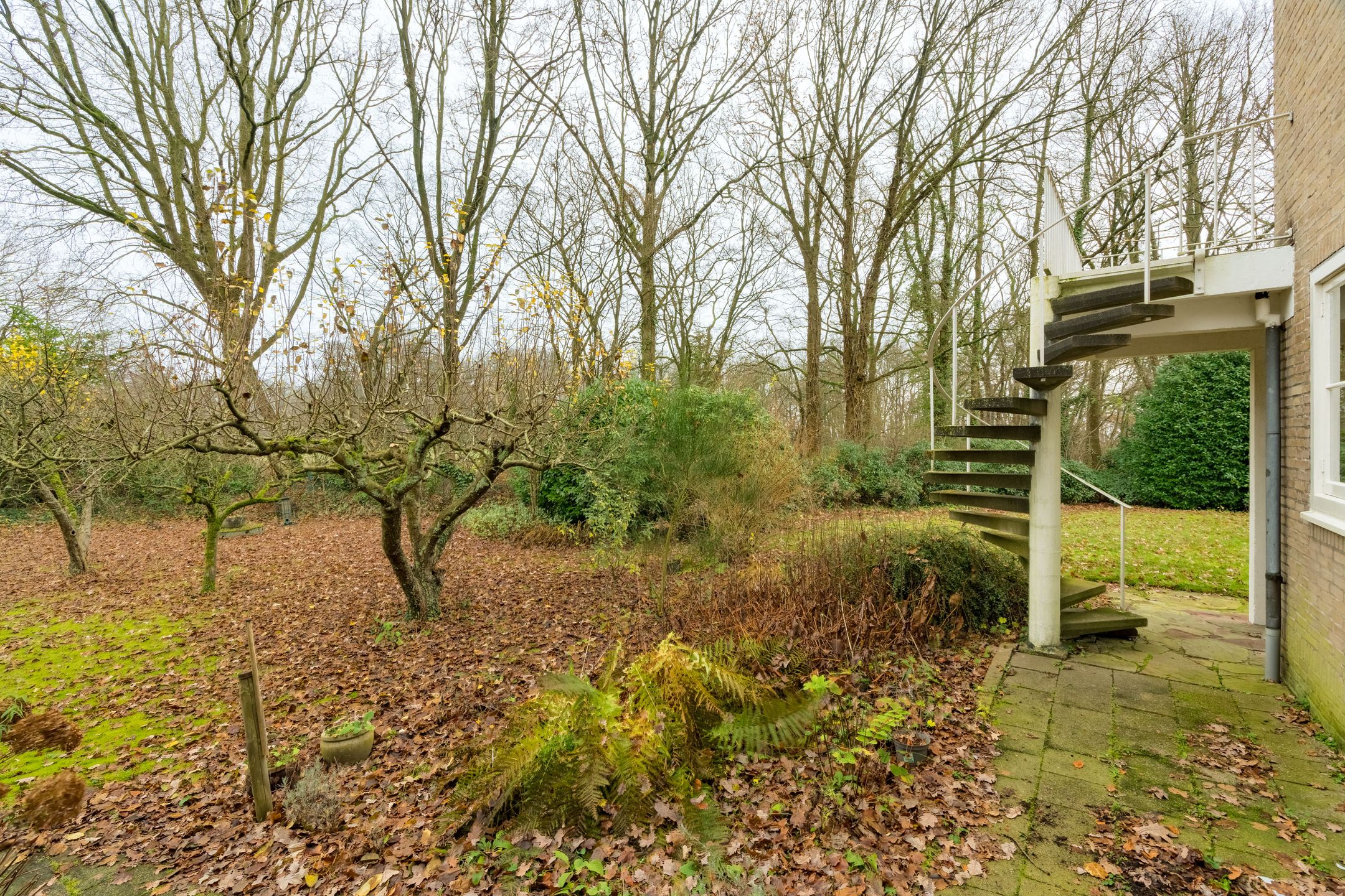 Foto 42 van Hesselink van Suchtelenweg 7