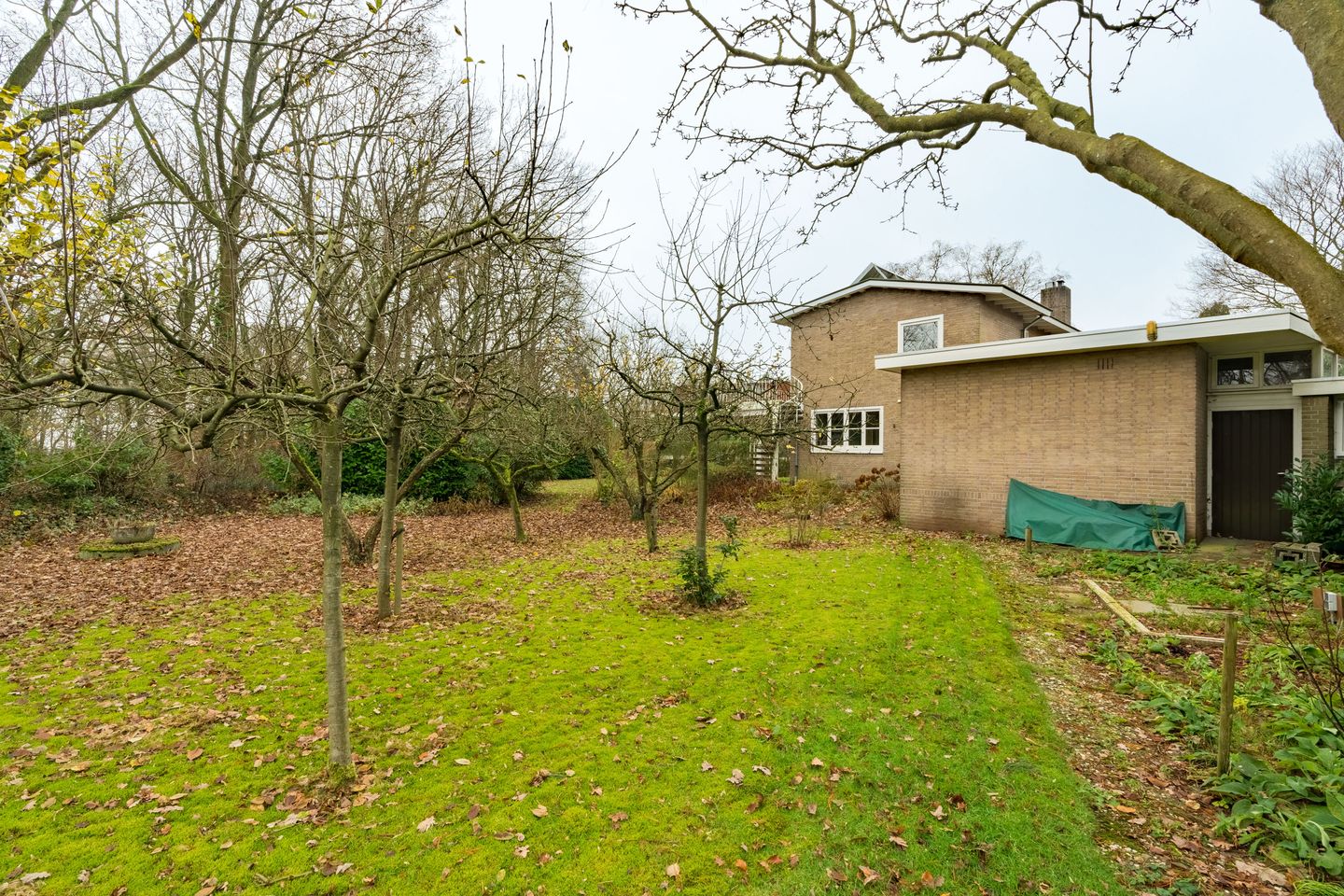 Foto 44 van Hesselink van Suchtelenweg 7