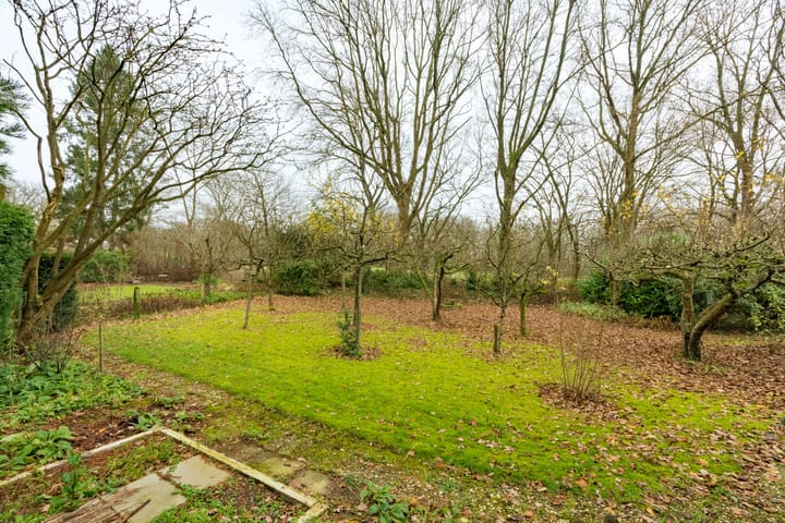 Foto 43 van Hesselink van Suchtelenweg 7