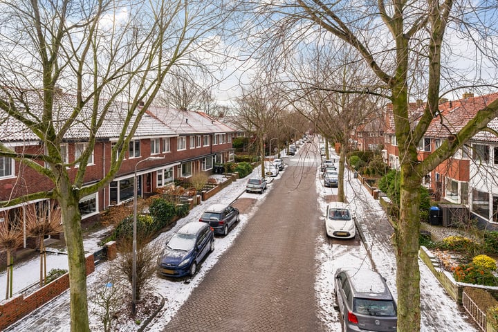 Bekijk foto 38 van Hobbemastraat 41