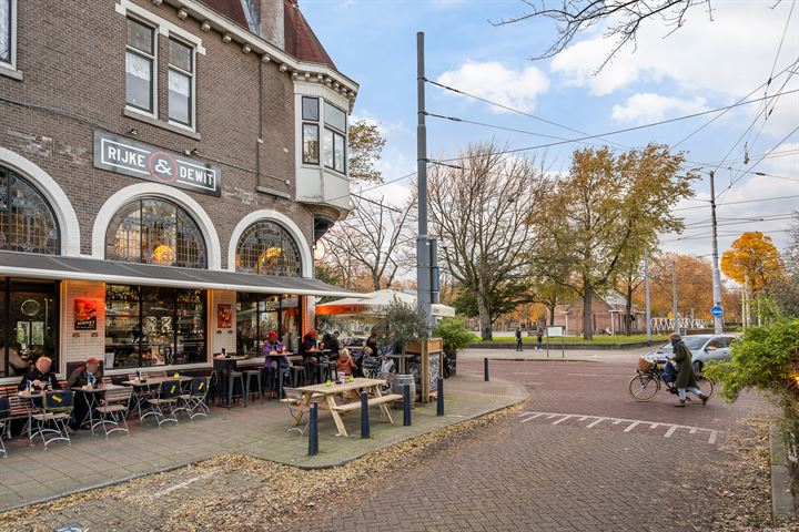 Bekijk foto 48 van Hondiusstraat 36-D