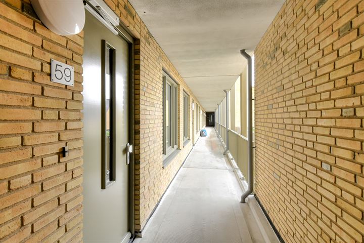 Bekijk foto 13 van Heinsiusstraat 59