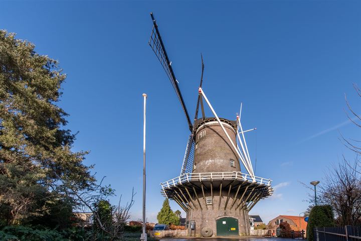 Bekijk foto 14 van Wilhelminastraat 103