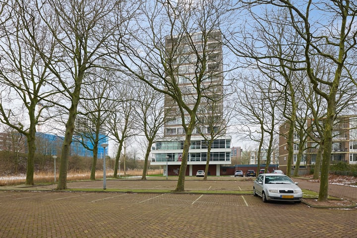 Bekijk foto 23 van Maassluisstraat 198