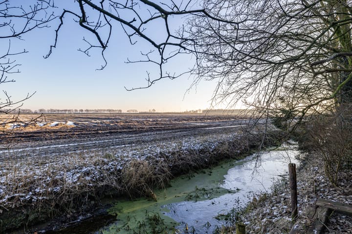 Foto 38 van Greveling 49