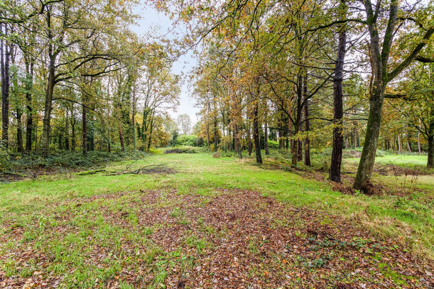 Bekijk foto 4 van Spetsebrugweg