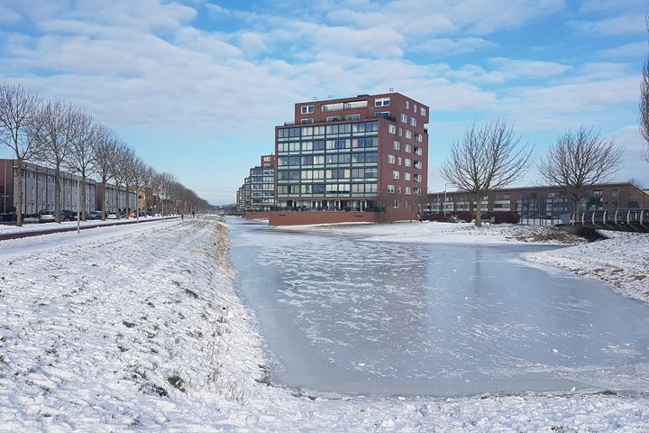 Bekijk foto 31 van Watervogelstraat 314