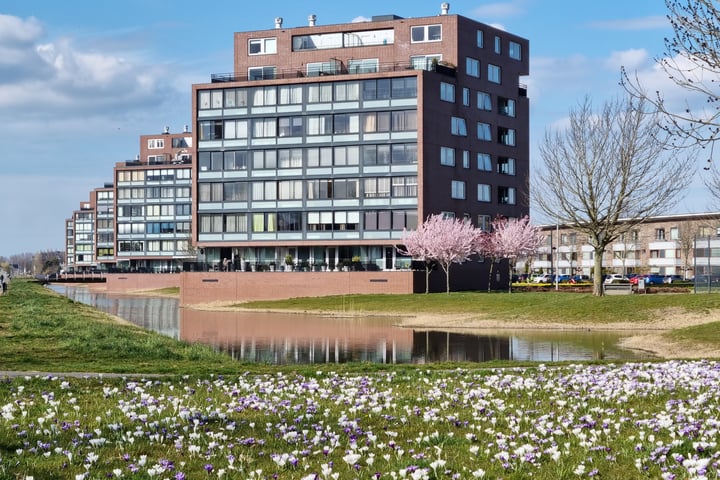 Bekijk foto 33 van Watervogelstraat 314