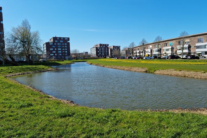 Bekijk foto 37 van Watervogelstraat 314