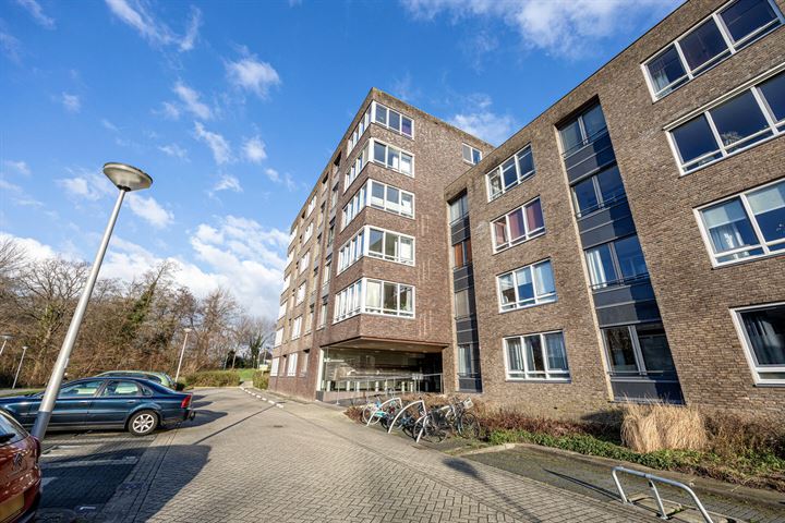 Bekijk foto 19 van Visvreugdstraat 113