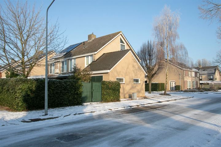 Bekijk foto 43 van Saksen Weimarstraat 22