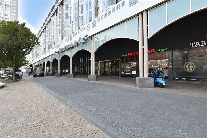 Bekijk foto 3 van Palaceplein 38