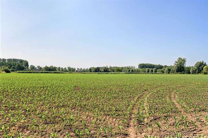 Bekijk foto 42 van Oetelaarsestraat 15