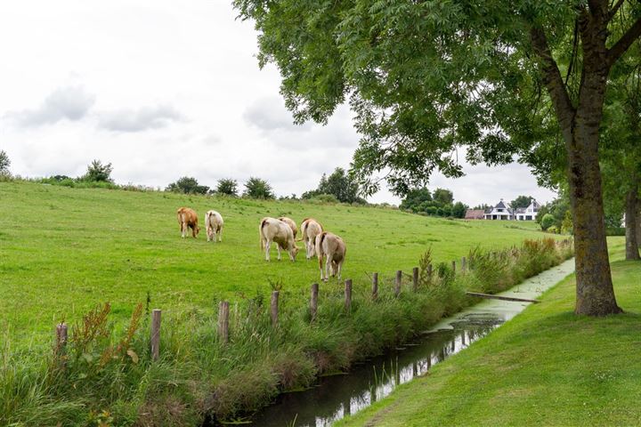 Bekijk foto 26 van Rietlanden 25