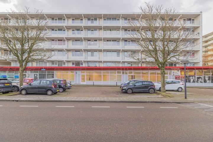 Buizerdhorst 106