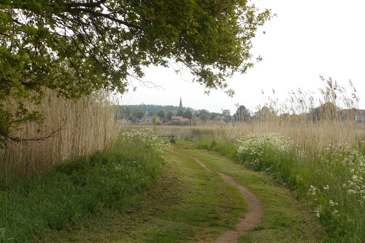 Bekijk foto 35 van Beerschemaasweg 34