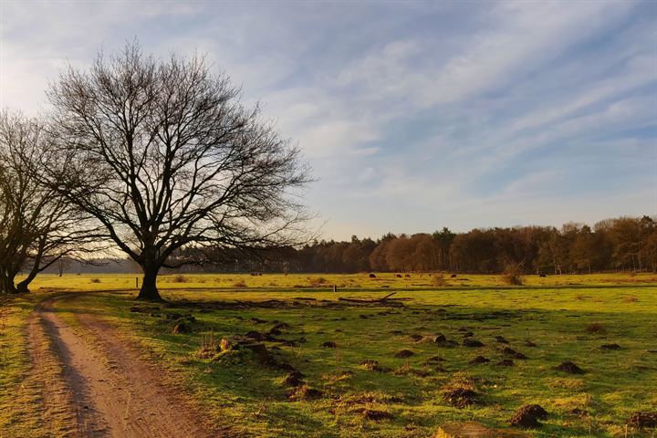 Bekijk foto 37 van Beerschemaasweg 34