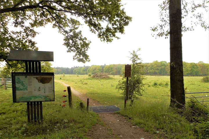 Bekijk foto 36 van Beerschemaasweg 34