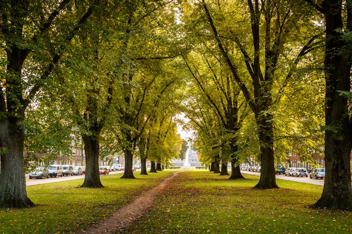 Bekijk foto 31 van C. van Maasdijkstraat 32