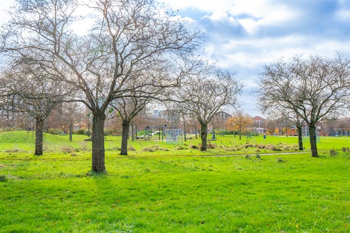 Bekijk foto 41 van Monarchvlinderlaan 174