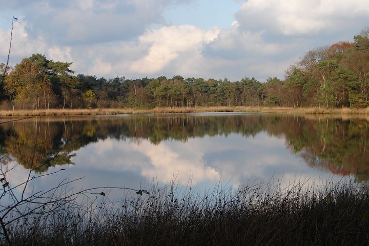 Bekijk foto 51 van Lindenlaan 55